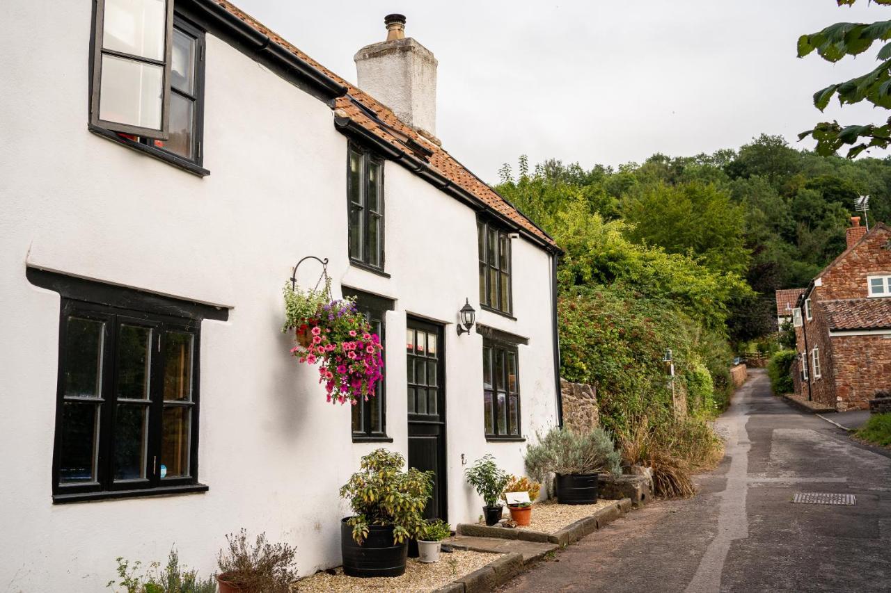 Woodview - Cosy 1840S Cottage In Chew Valley And Mendip Aonb Compton Martin Kültér fotó