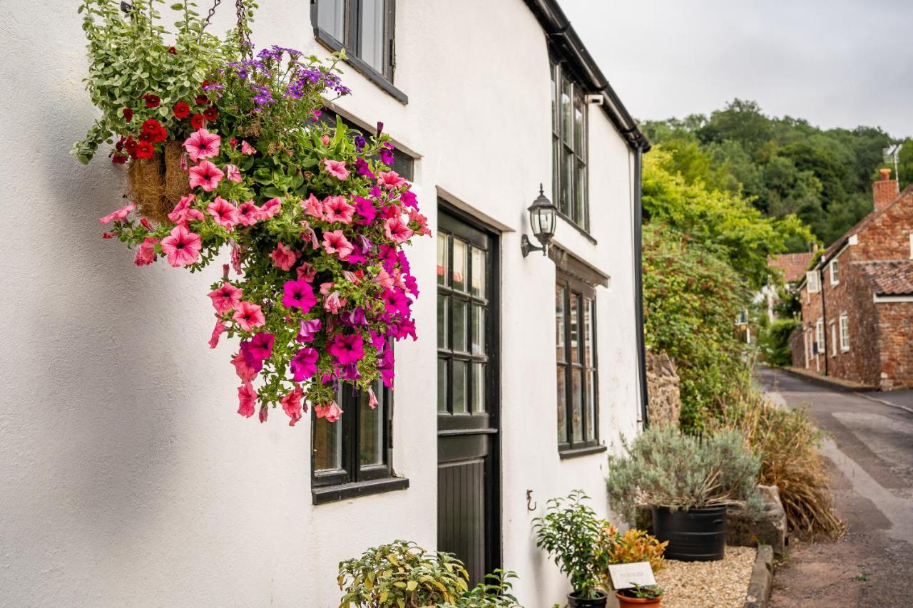 Woodview - Cosy 1840S Cottage In Chew Valley And Mendip Aonb Compton Martin Kültér fotó